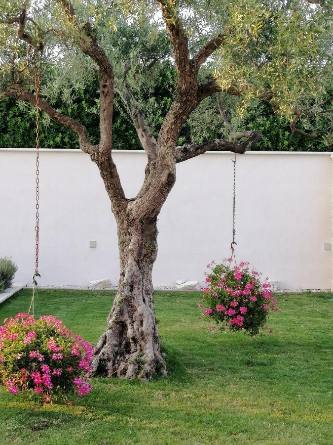 Villa Roza Umag Dış mekan fotoğraf