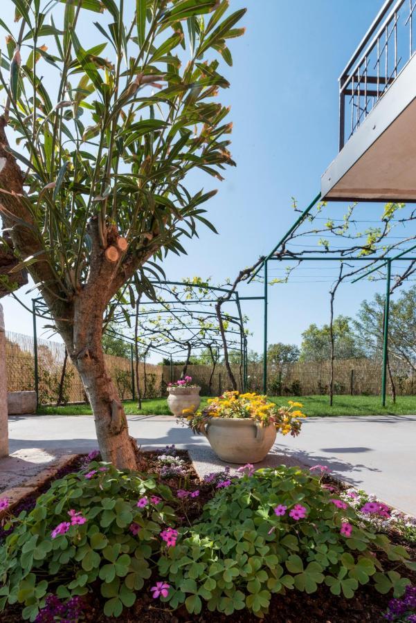 Villa Roza Umag Dış mekan fotoğraf