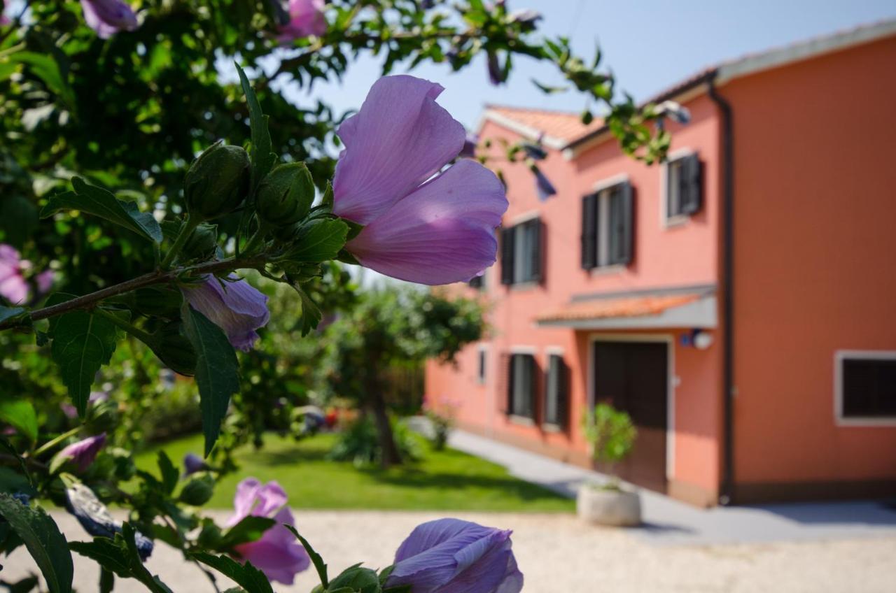 Villa Roza Umag Dış mekan fotoğraf
